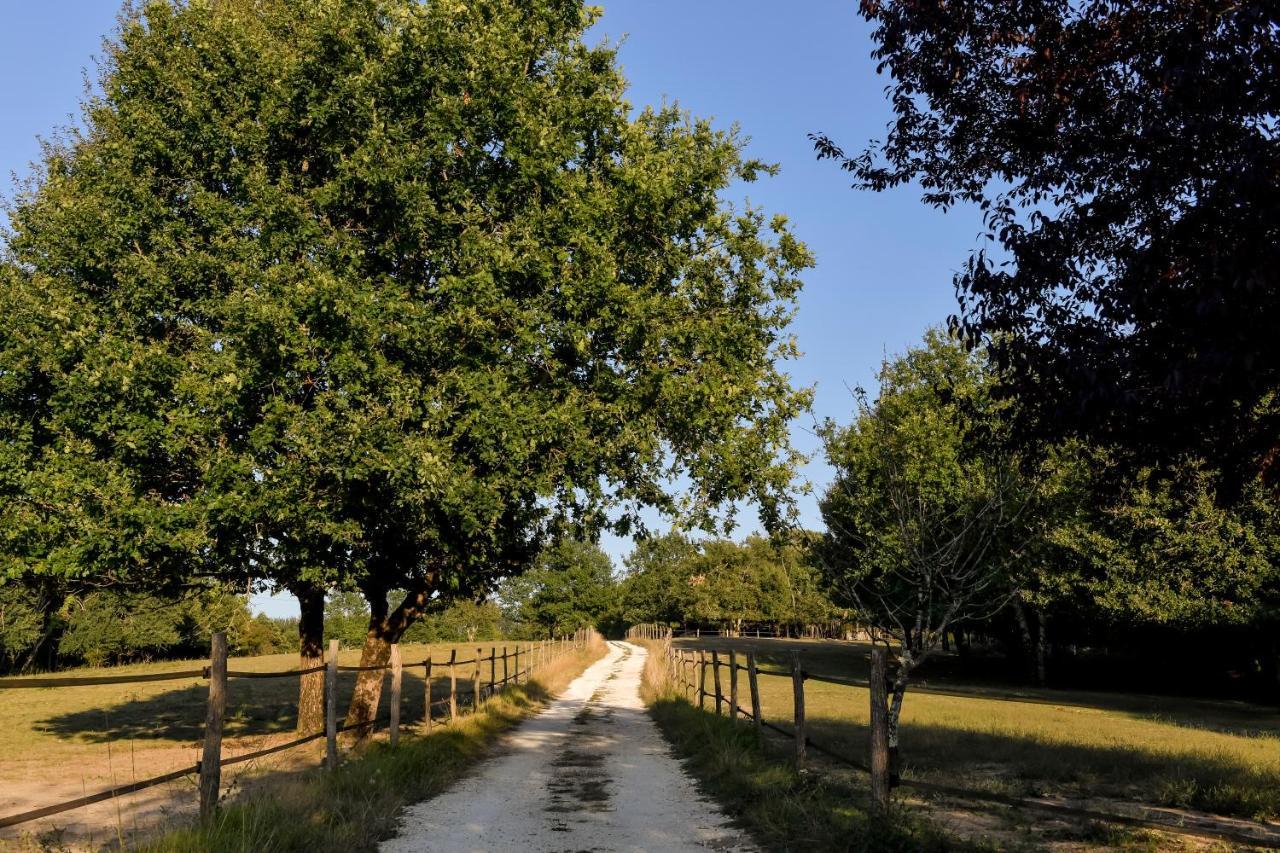 Domaine Verte Vallee Lignan-de-Bordeaux ภายนอก รูปภาพ